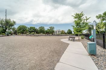 Dog park